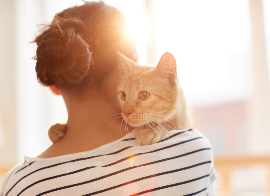 Curious Cats: Why Your Feline Companion Follows You Everywhere - NutriPaw