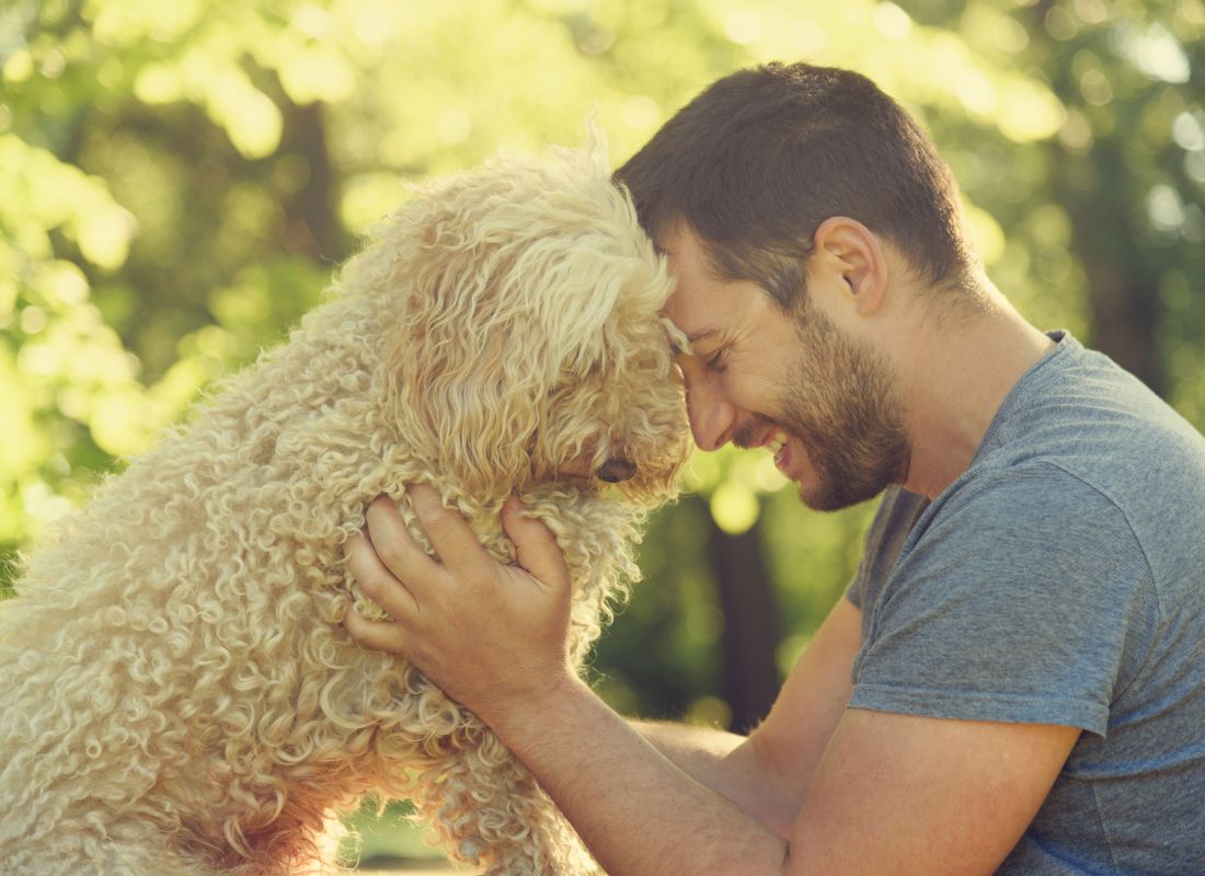 Extend Your Dog's Life: Science-Backed Strategies for Longevity - NutriPaw