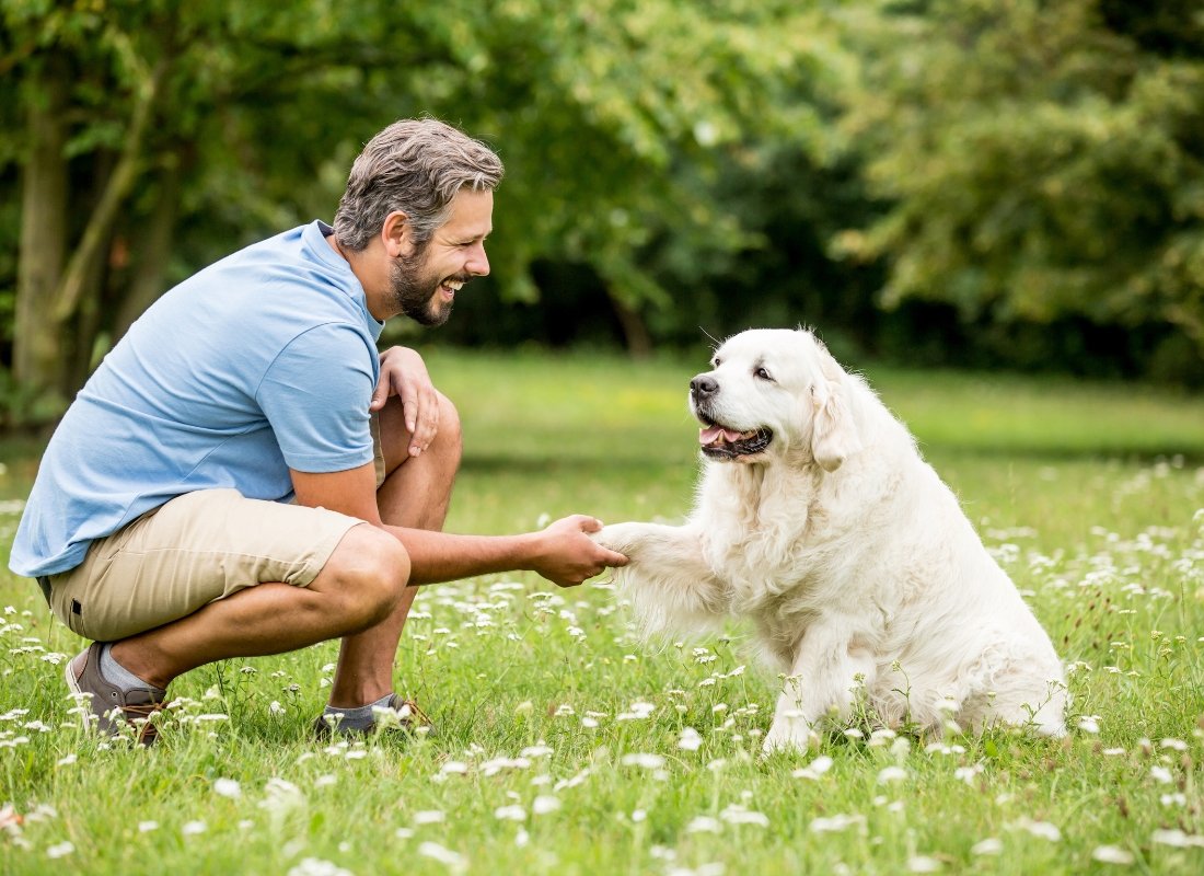 How do I properly socialise my dog with other dogs and people? - NutriPaw