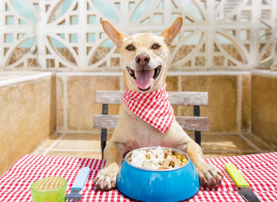 How Much Food Should I Feed My Dog? - NutriPaw