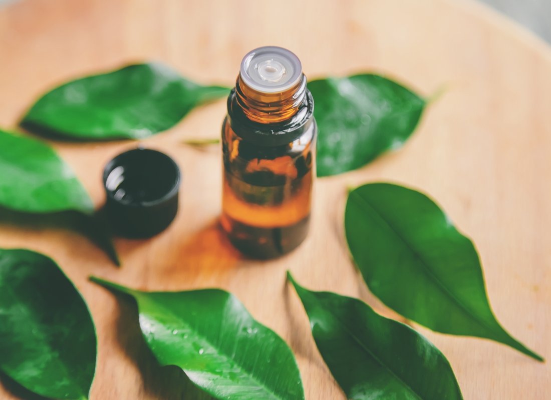 Is Tea Tree Oil Safe For Dogs? - NutriPaw