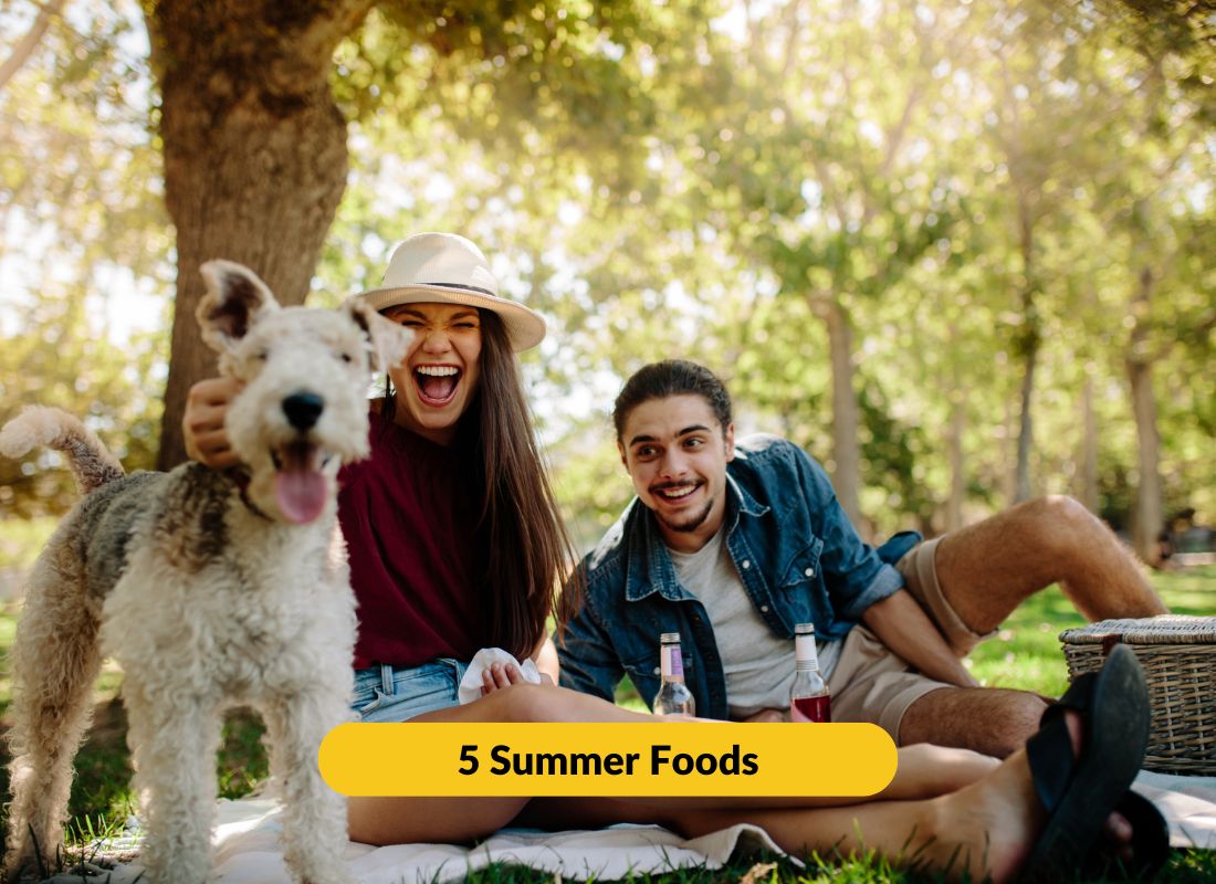 Summer Foods That Could Land Your Dog at the Vet - NutriPaw
