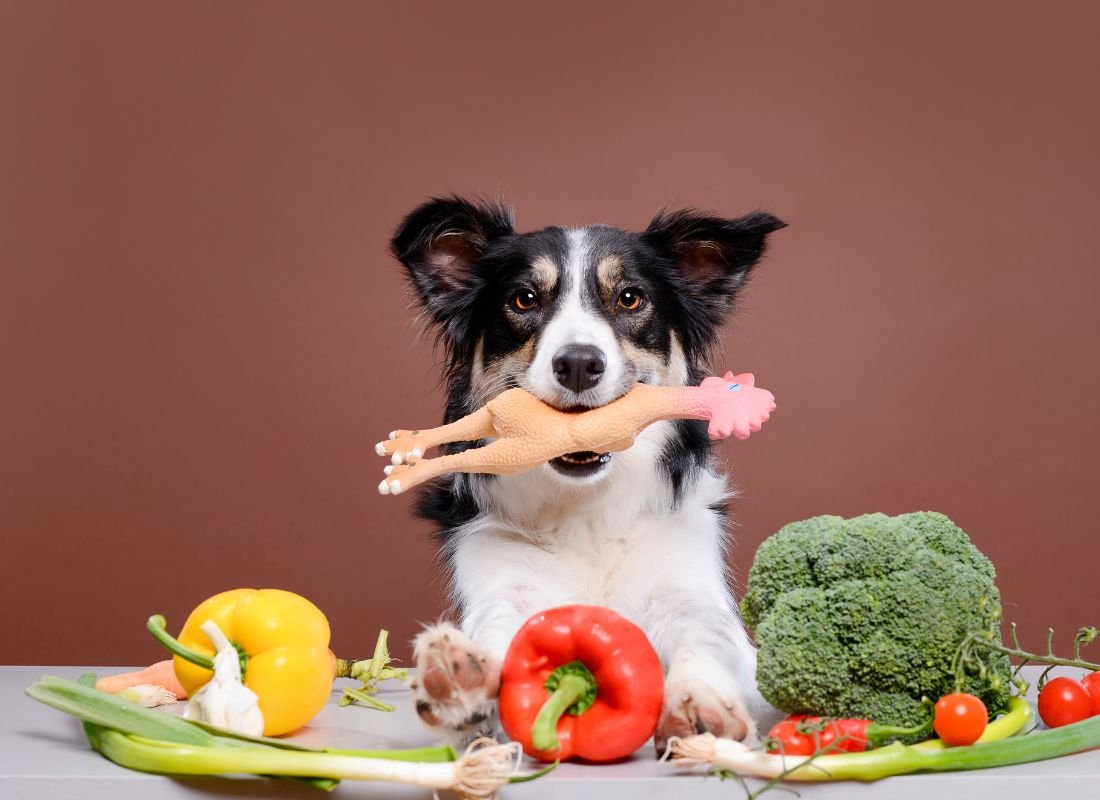What’s in the Bowl? Decoding the Best Diet for Your Dog - NutriPaw