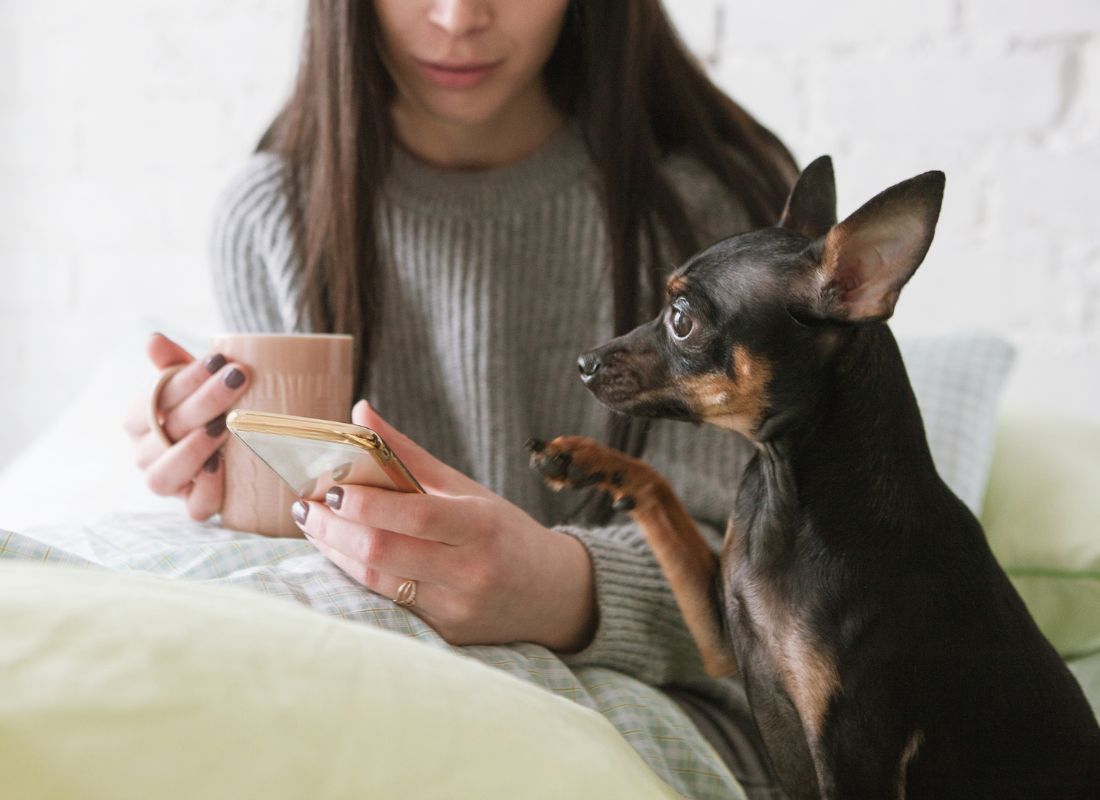 Why Does My Dog Follow Me Everywhere? (Even to the Bathroom) - NutriPaw
