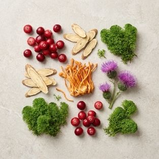 Natural Renal Ingredients