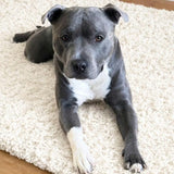 Bella