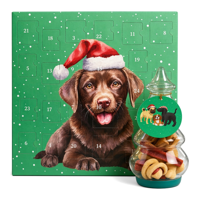 Dog Christmas Bundle