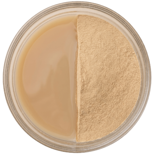Yucca Root