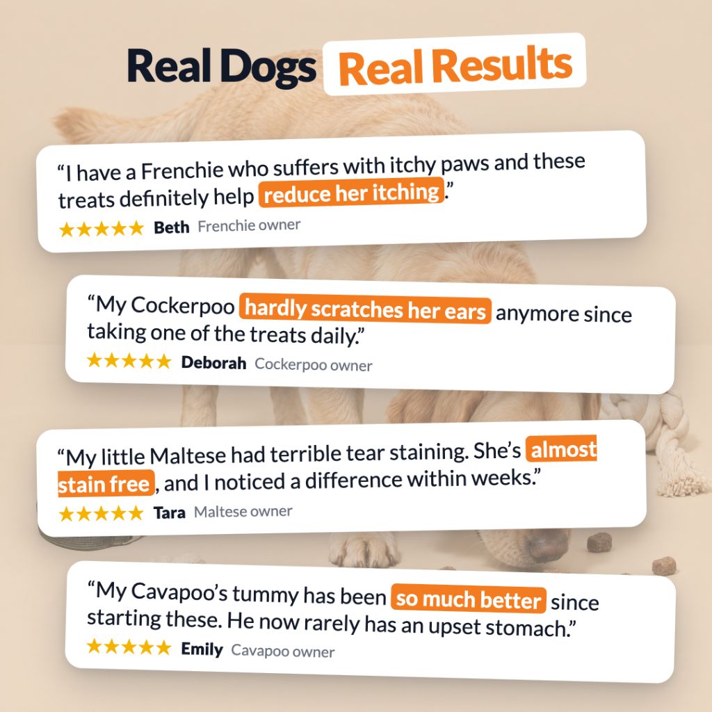Pre, Pro & Postbiotic Digestive Treats