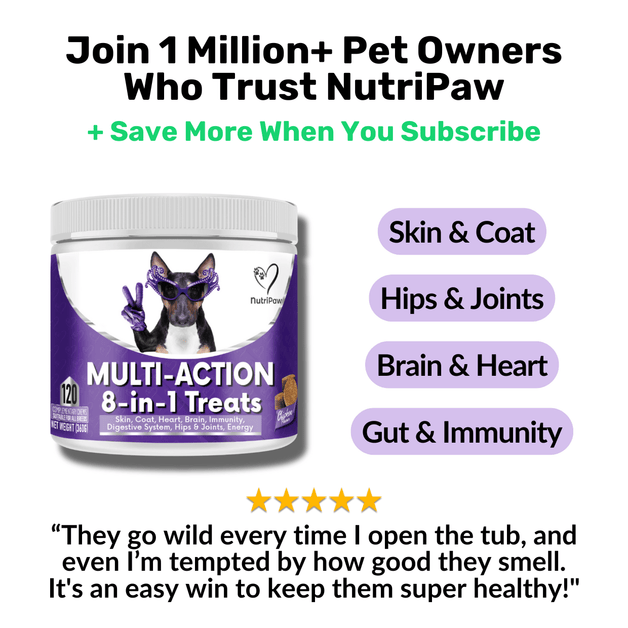 8-in-1 Multi-Action Treats - NutriPaw