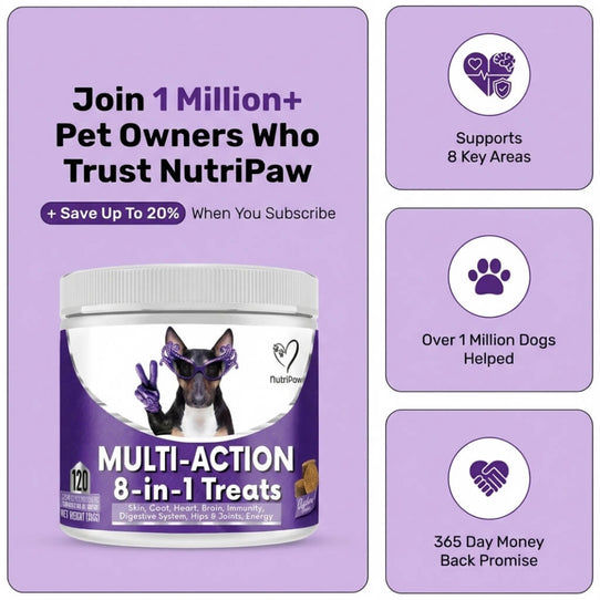 8 - in - 1 Multi - Action Treats - NutriPaw