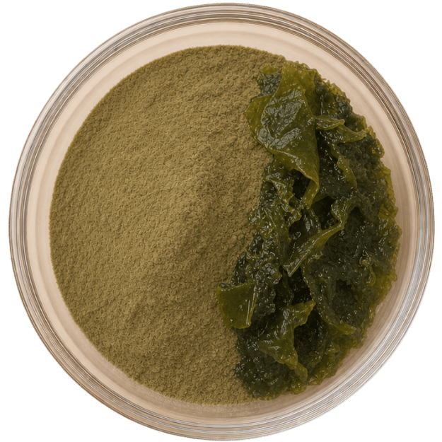 EPA & DHA
