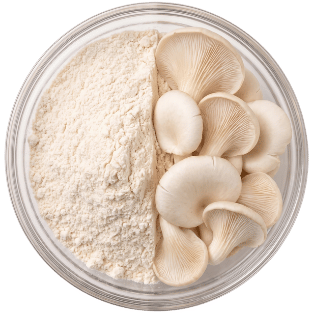 Fungal Chitosan