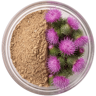 Milk Thistle Extract