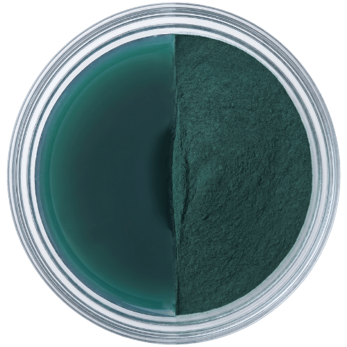 Spirulina