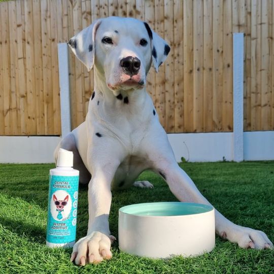 98% of pets drink without any issues