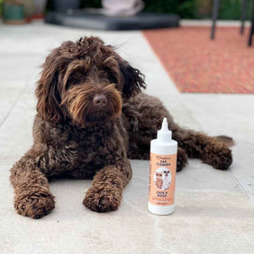 Cockapoo ear cleaning solution best sale