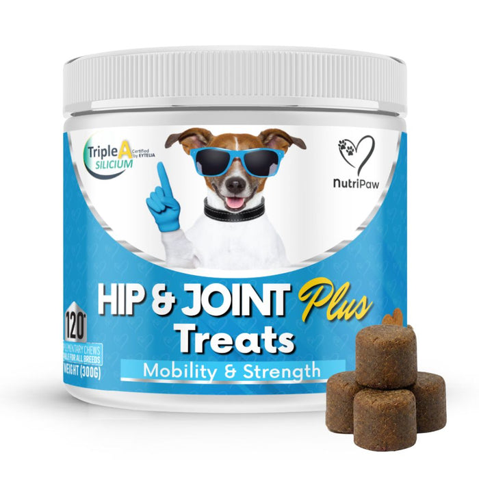 Hip & Joint Treats Plus