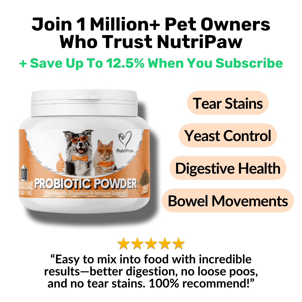 Pre, Pro Postbiotic Powder NutriPaw - Main Image