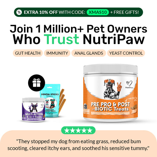 Pre, Pro & Postbiotic Digestive Treats