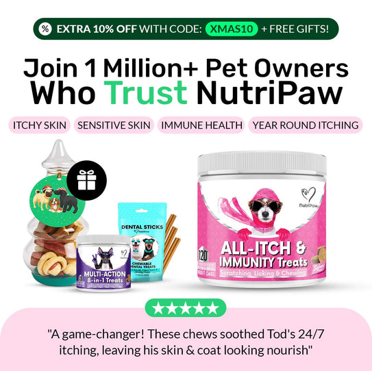 All-Itch & Immunity Treats