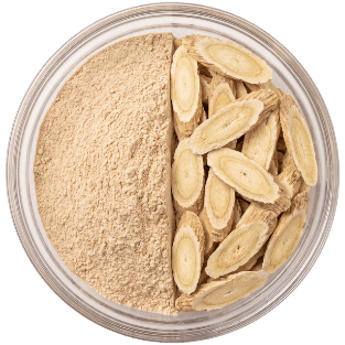 Astragalus Root