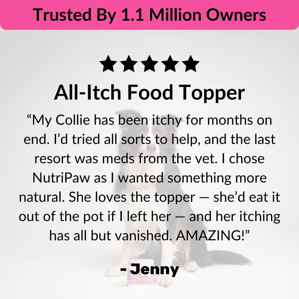 All - Itch Food Topper - NutriPaw