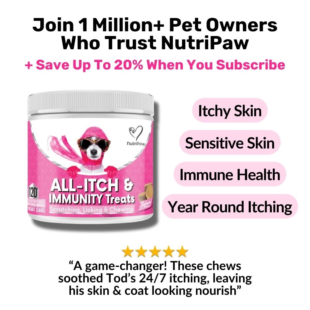 All - Itch & Immunity Treats - NutriPaw