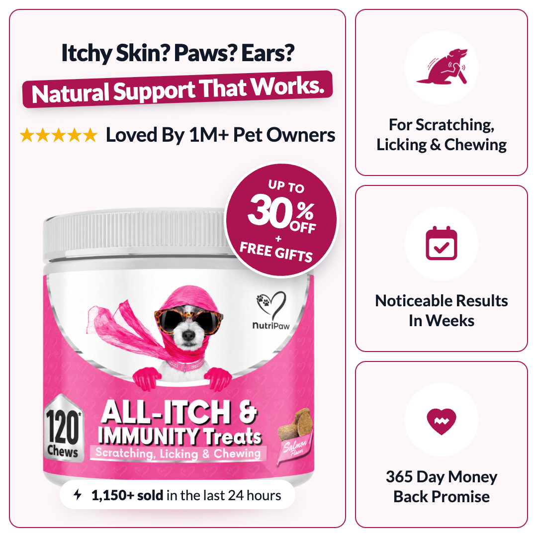 All-Itch & Immunity Treats - NutriPaw