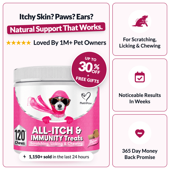 All-Itch & Immunity Treats - NutriPaw