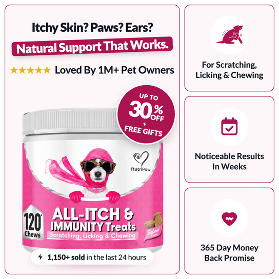 All-Itch & Immunity Treats - NutriPaw