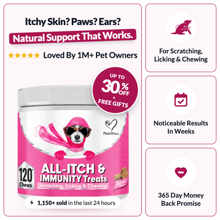 All-Itch & Immunity Treats - NutriPaw