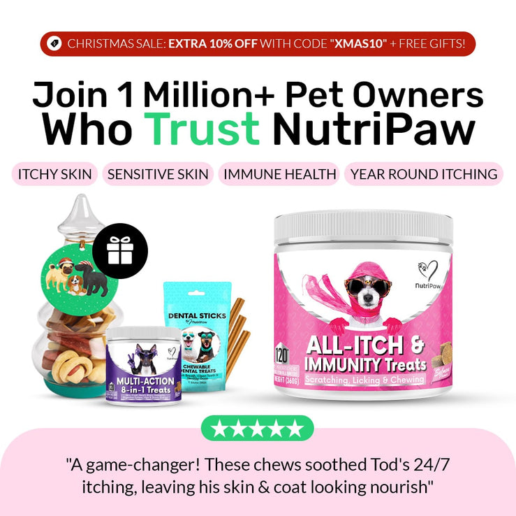 All - Itch & Immunity Treats - NutriPaw