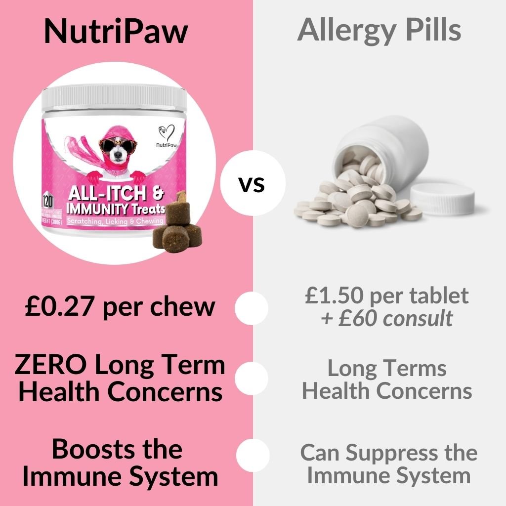 All - Itch &amp; Immunity Treats - NutriPaw