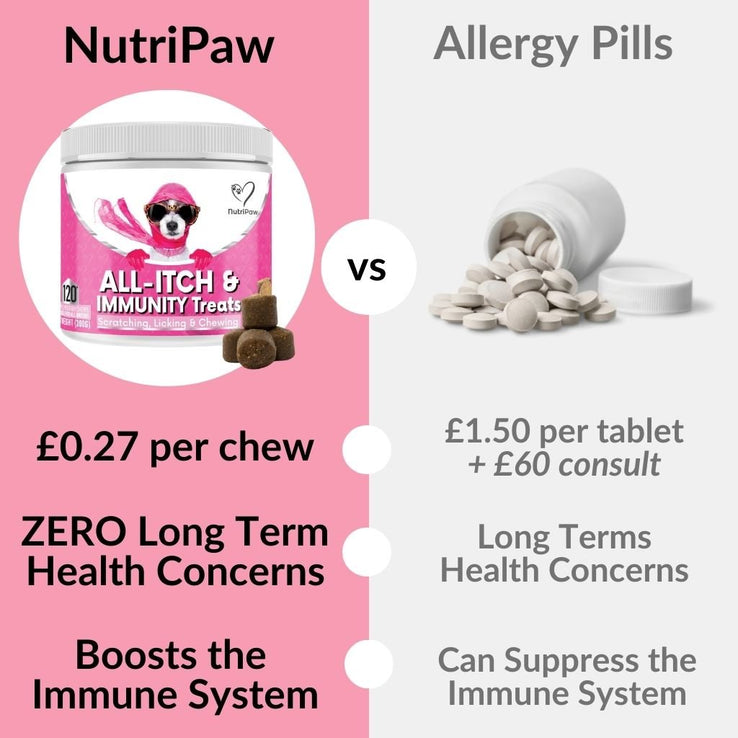 All - Itch & Immunity Treats - NutriPaw