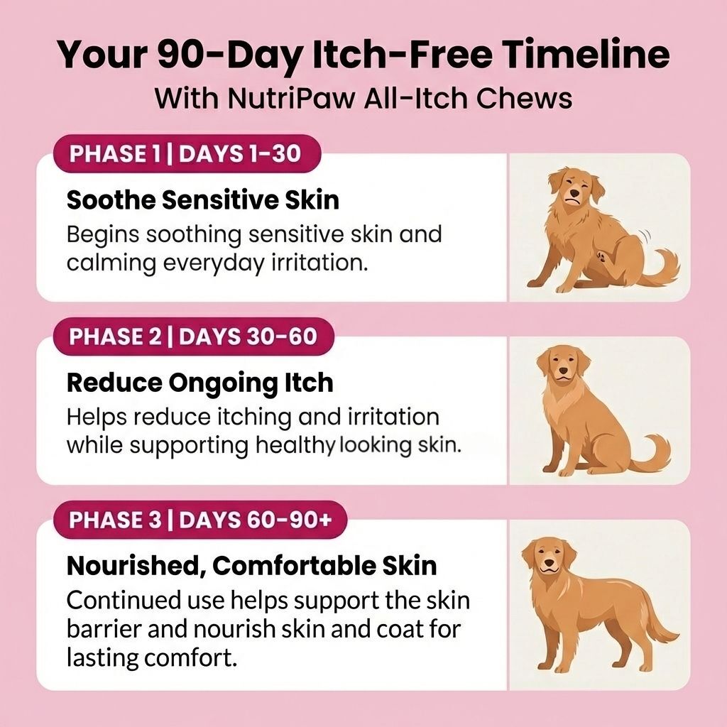 All - Itch & Immunity Treats - NutriPaw