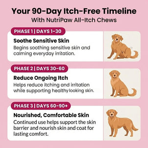 All - Itch & Immunity Treats - NutriPaw