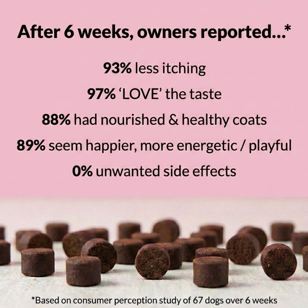 All - Itch & Immunity Treats - NutriPaw