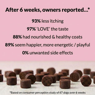 All - Itch & Immunity Treats - NutriPaw