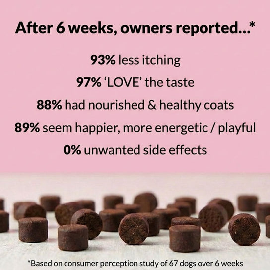 All - Itch & Immunity Treats - NutriPaw