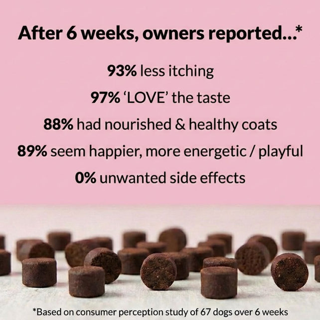 All - Itch & Immunity Treats - NutriPaw
