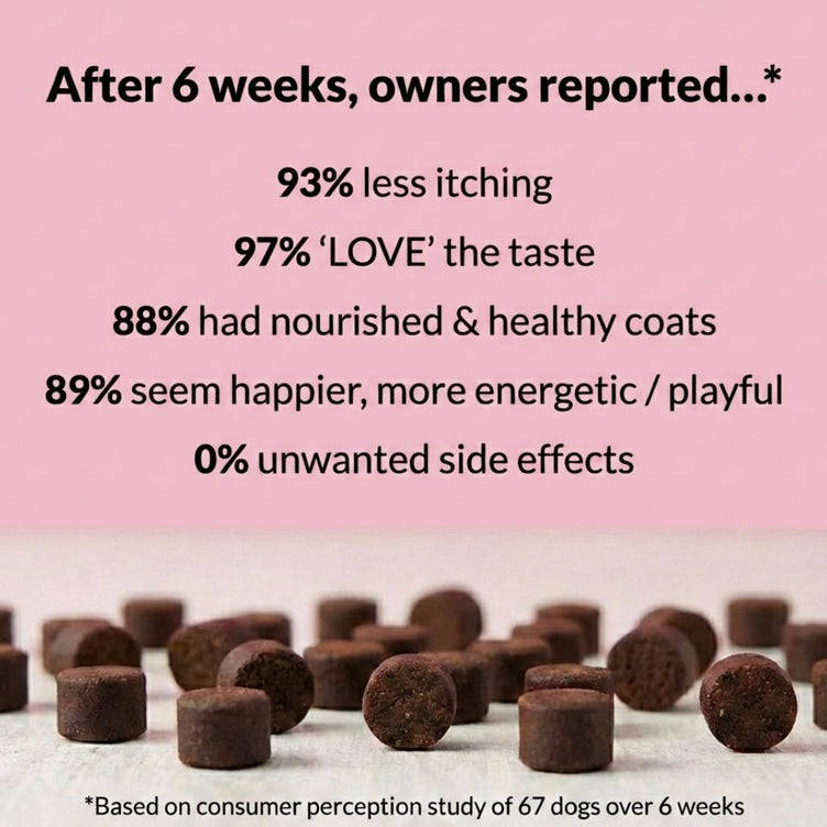All - Itch & Immunity Treats - NutriPaw
