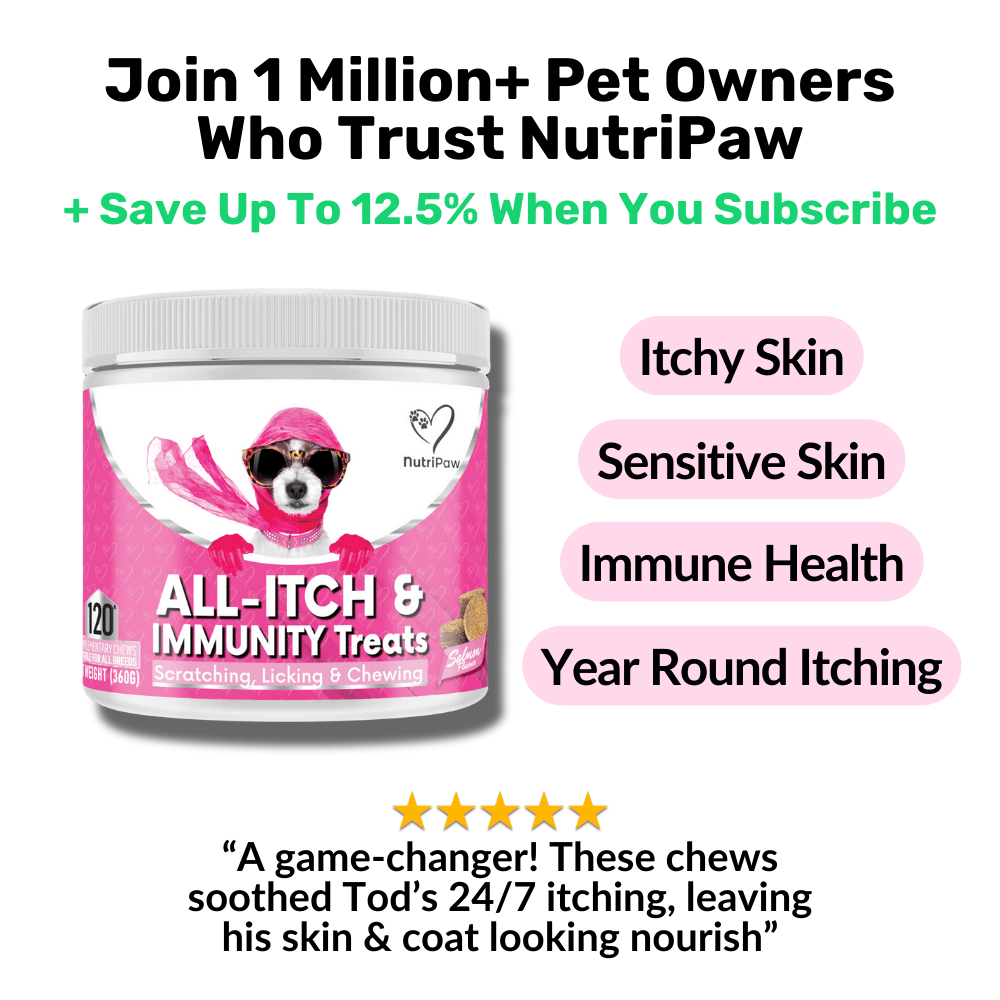 All - Itch & Immunity Treats - NutriPaw