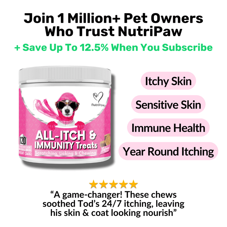 All - Itch & Immunity Treats - NutriPaw