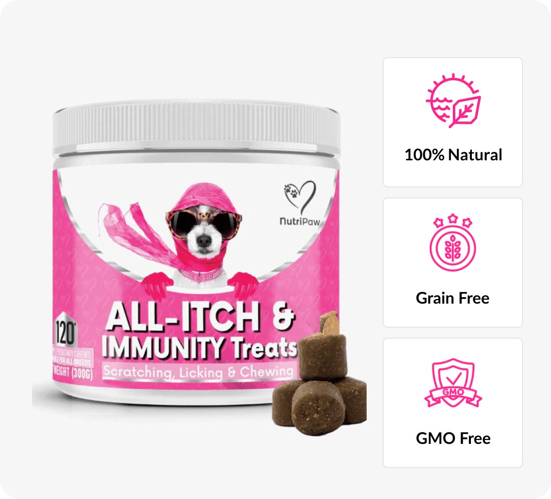 All-Itch & Immunity Treats - NutriPaw