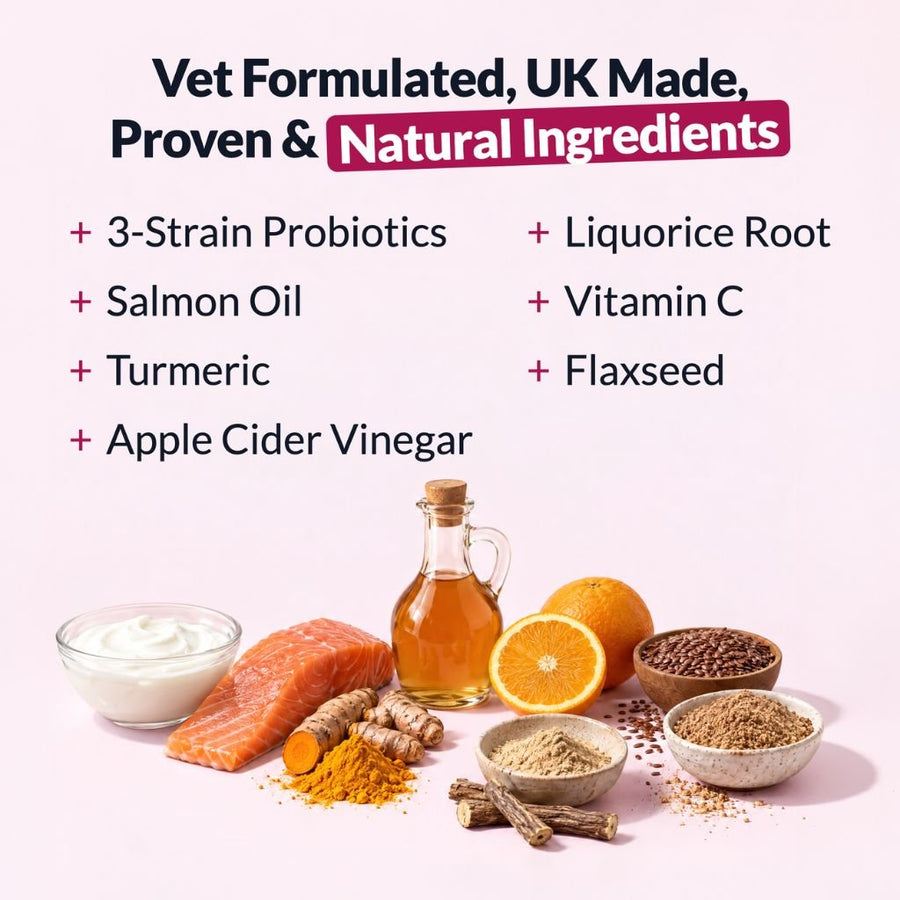 All-Itch & Immunity Treats BFCM - NutriPaw