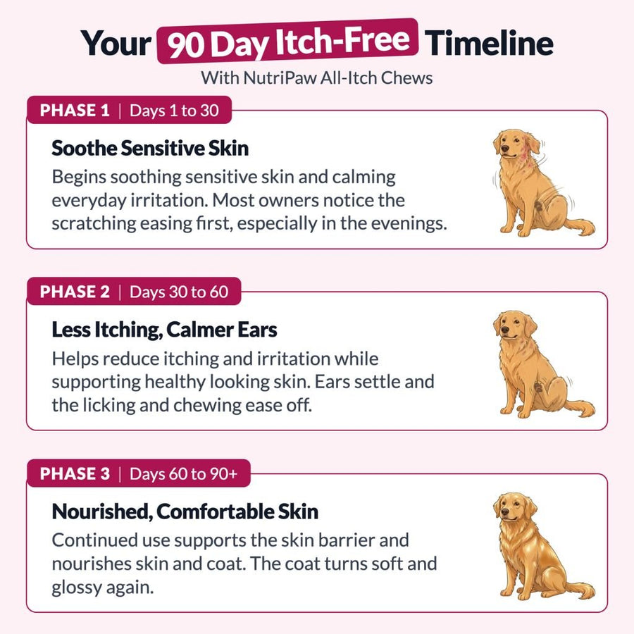 All-Itch & Immunity Treats BFCM - NutriPaw