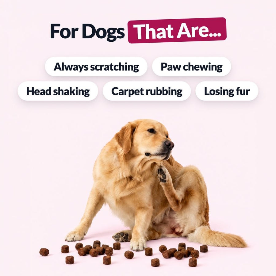 All-Itch & Immunity Treats BFCM - NutriPaw