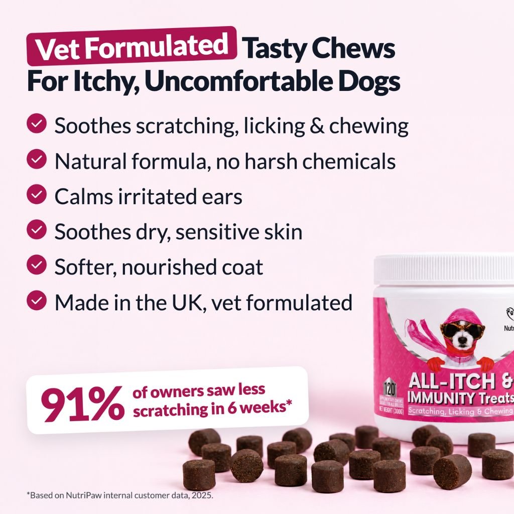 All-Itch & Immunity Treats BFCM - NutriPaw