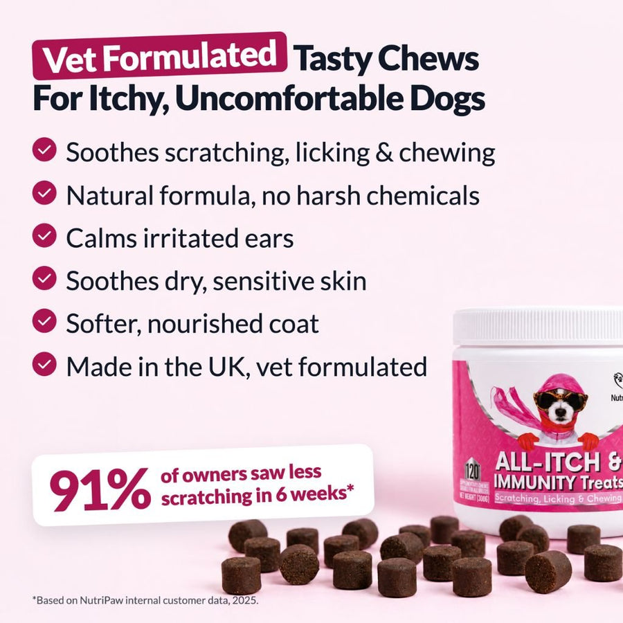 All-Itch & Immunity Treats BFCM - NutriPaw